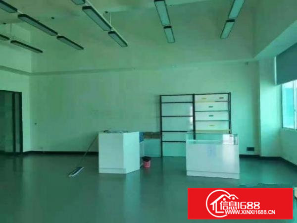 高埗新出楼上1200平米无尘车间厂房出租