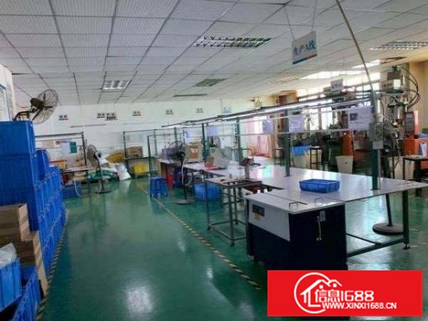 观澜新田原房东精装修厂房出租。