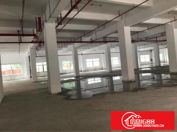 龙岗龙西一楼标准厂房1000平方米出租，带装修
