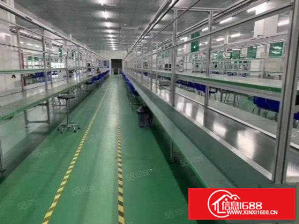 靠市区出租楼上带装修，带水电办公室，带正规电梯，500起分租