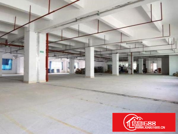 清溪工业园厂房一楼2000方带办公室消防喷淋，空地大形象好