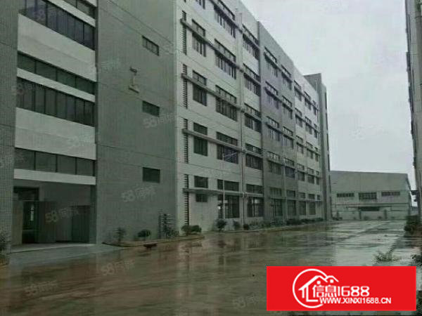 凤岗金凤凰带精装二楼5000平方厂房仓库出租