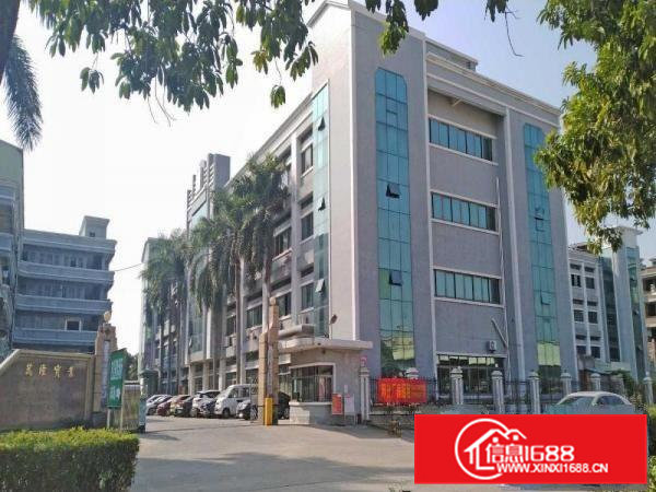 企石镇霞朗厂房出租，房东直租环境好易招工价面实惠面谈