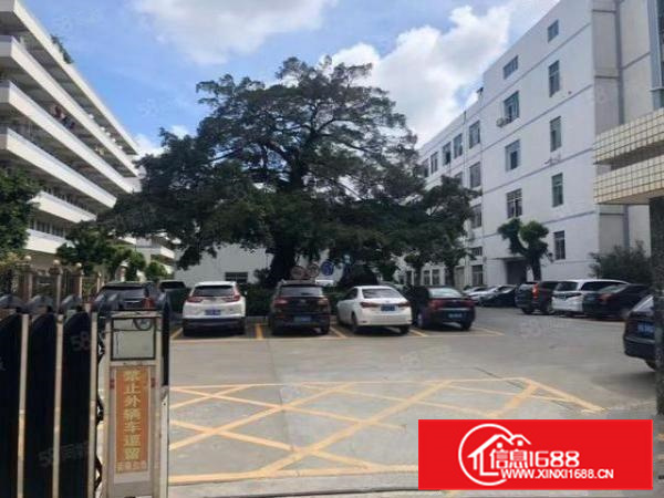 长安涌头一楼850平厂房出租水电齐全园区空地大好进车