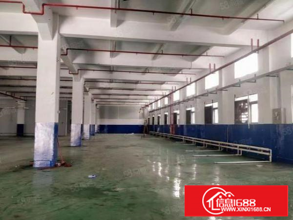 长安镇上沙省道边新出豪华装修一楼3000平方火爆招租