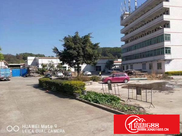 龙岗区坪地六联独院7米钢构1200平方米招租（有红本）