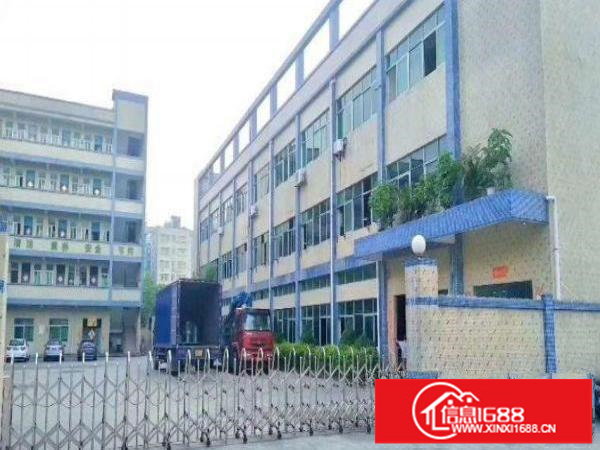 新出楼上800平豪华装修厂房招租大小可分租