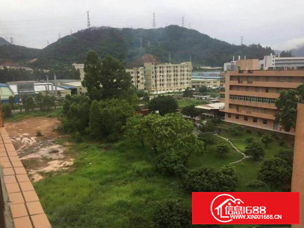 全新原房东独门独院标准厂房出租