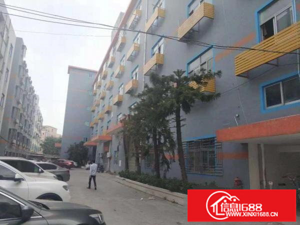 荷坳2楼花园式带装修厂房1785平可分租