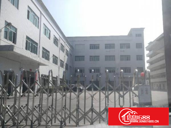 横岗安良新出楼上原房东580平厂房招租，水电齐全