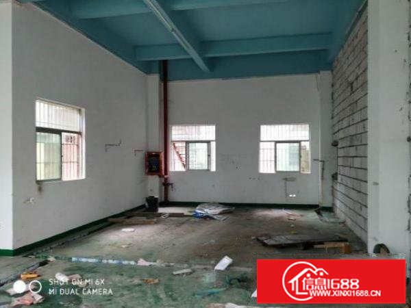 坑南光出口新出原房东厂房1000平带装修