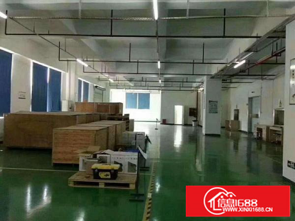 塘厦凤凰岗独院标准2楼800平方！全层地板砖办公室精装修