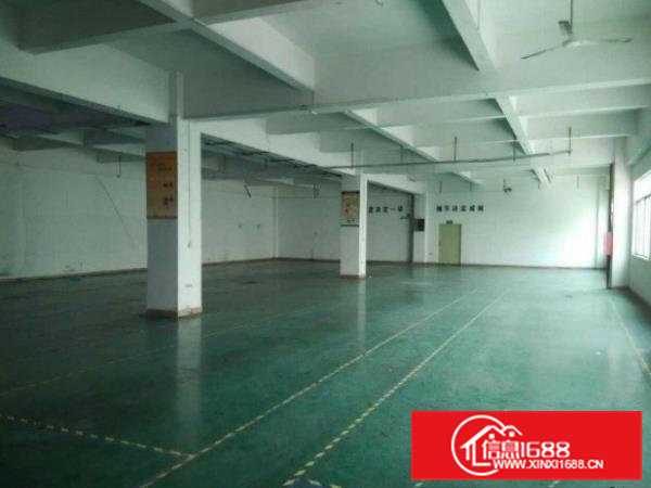 振兴中路现有三楼600平方厂房带精装办公室