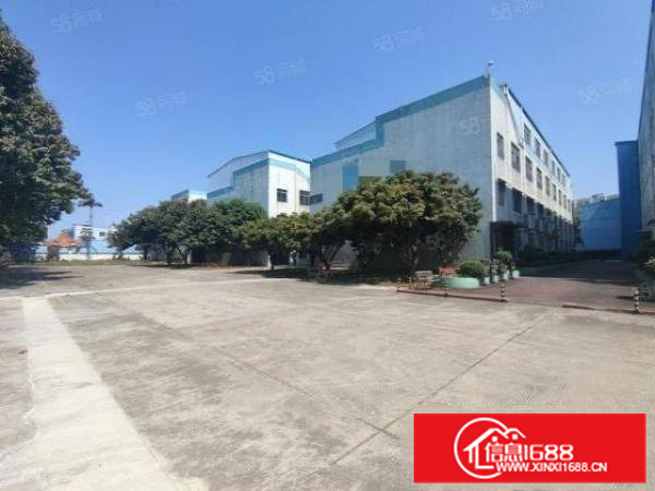 桥头镇大洲村原房东出租独立厂房一二楼2000平米，豪华装修