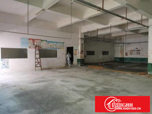 观澜桂月路旁新出一楼实际面积540平厂房层高5.8米行业不限