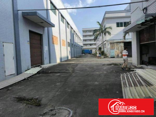 （大小分租）大亚湾西区45000平米标准钢构厂房