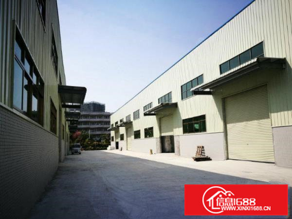 横沥长巷单一层钢构厂房950平水电齐全交通方便