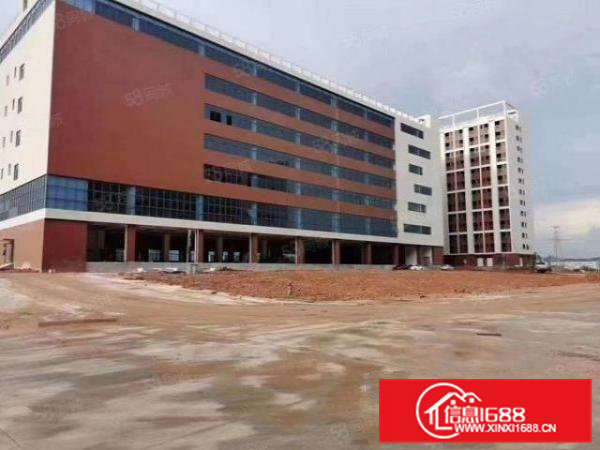 东莞市东坑镇原房东自带环评现成排水证标准独院厂房出租