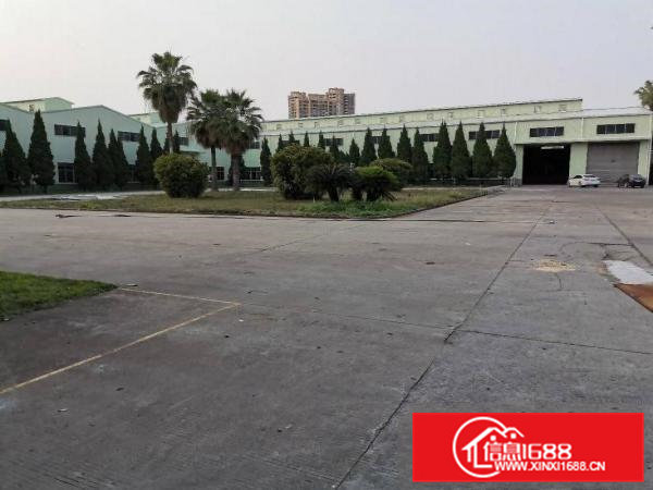 横沥镇原房东低价滴水12米钢构厂房出租