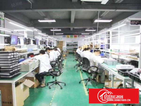 兴东洪浪北一楼1307平带隔层楼上2980平可分租金便宜