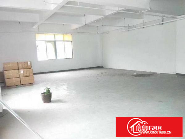 坂田办公厂房108平158平200平300平均带装修出租