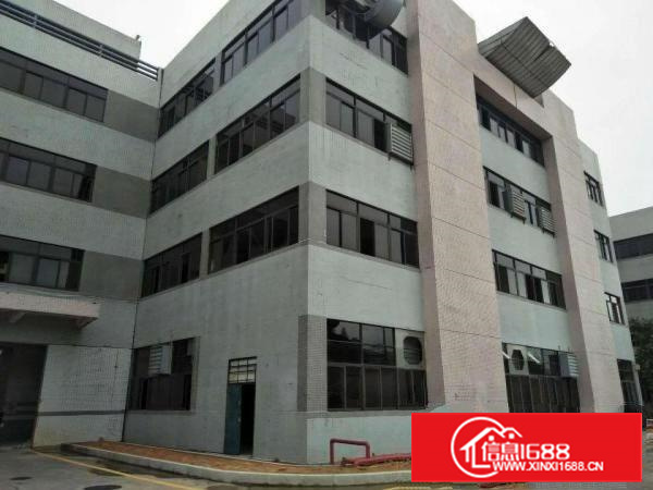 街口新安新出楼上整层2000方无公摊车位足