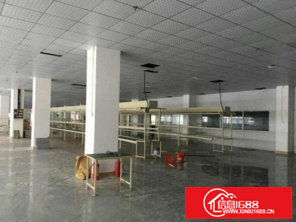 龙岗同乐1000平5600平独院厂房出租可大小分租