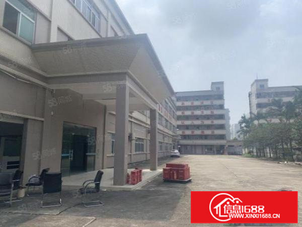 桥头岗头村新出原房东全新楼上2800平方实际面积带消防喷淋