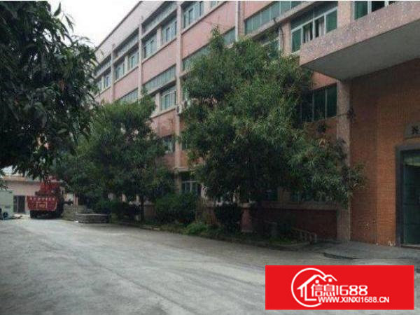 清溪标准一楼1300平格局方正标准厂房招租