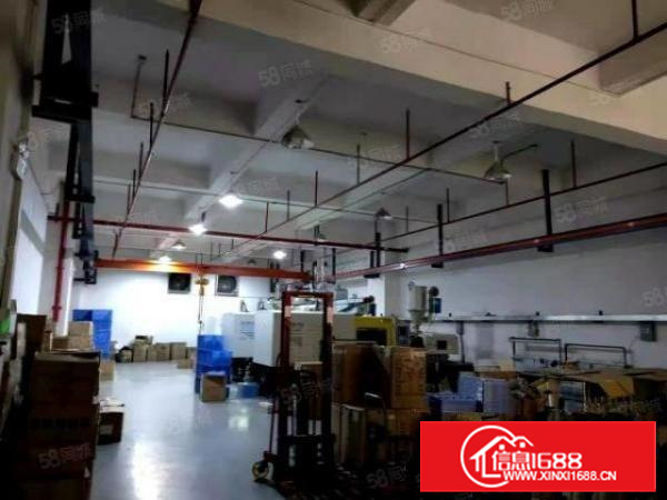 厦岗沿江高速出口附近新出楼上带行业厂房750平