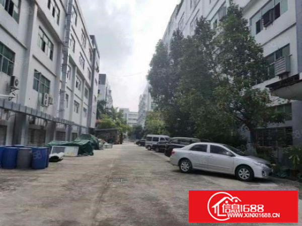 观澜龙观快速边上新出厂房2000平米带精装修，