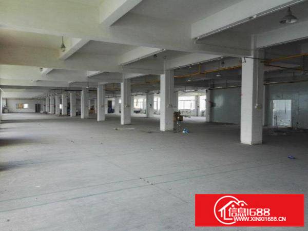 坑梓深汕路边一楼厂房1000平方出租