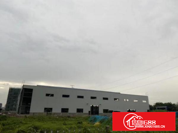云东海，全新厂房出租。