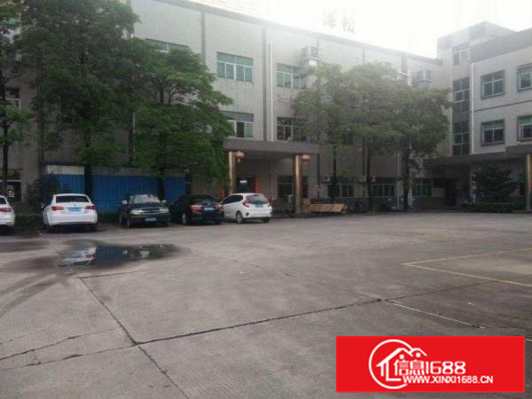 博涌一楼厂房750平，带地坪漆，现成豪华办公