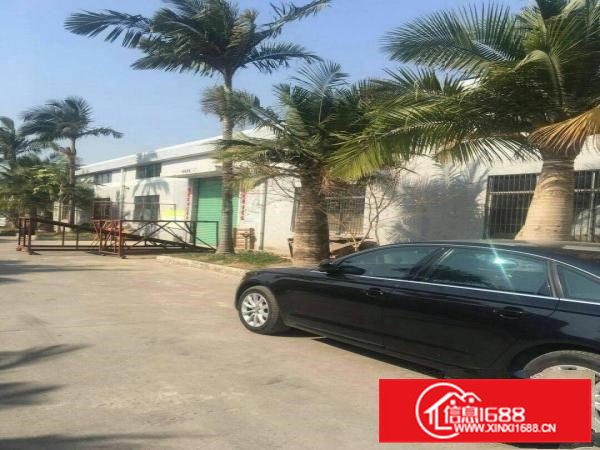 惠阳秋长新出4000平滴水8米钢结构独院厂房出租