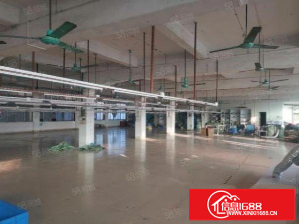 茶山镇原房东卢屋新出整层720平带现成办公室装修好招工