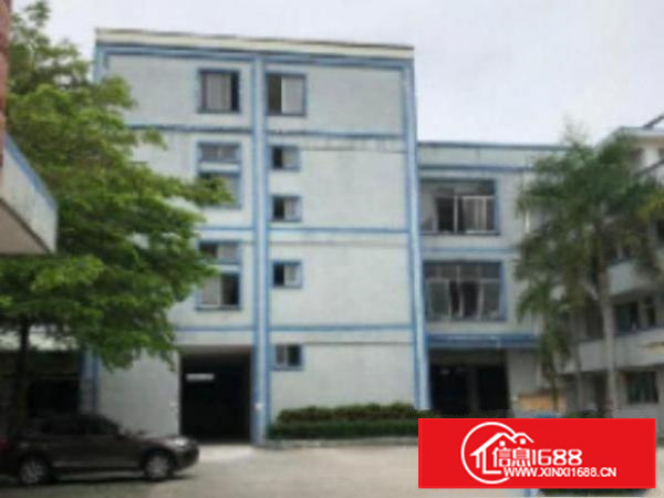 万江经典独院标准楼房厂房2600平方出租