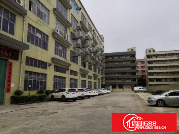 出租龙岗坪地坪西标准工业厂房