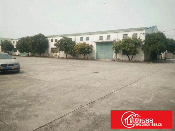 （原房东）（独院钢构8米）常平镇1350平米出租