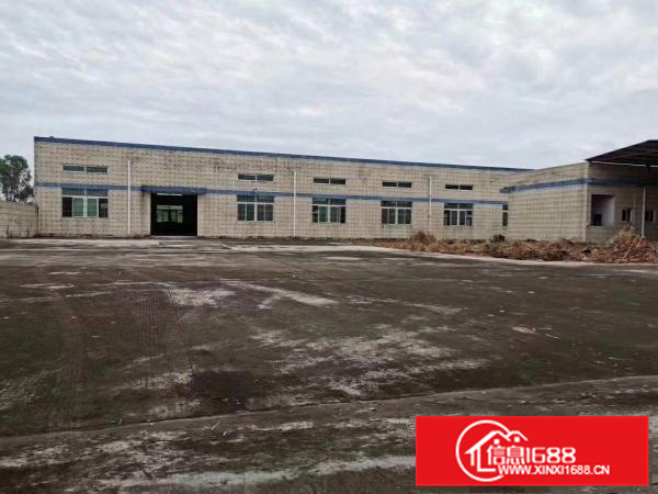 惠东县白花新出钢结构厂房行业无限钢结构厂房3220平方出租