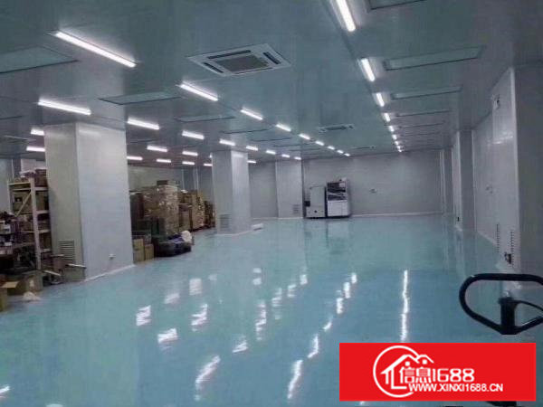 龙岗工业区，1500平方无尘车间