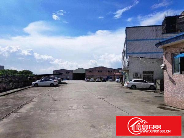 大岭山铁皮厂房出租无柱子