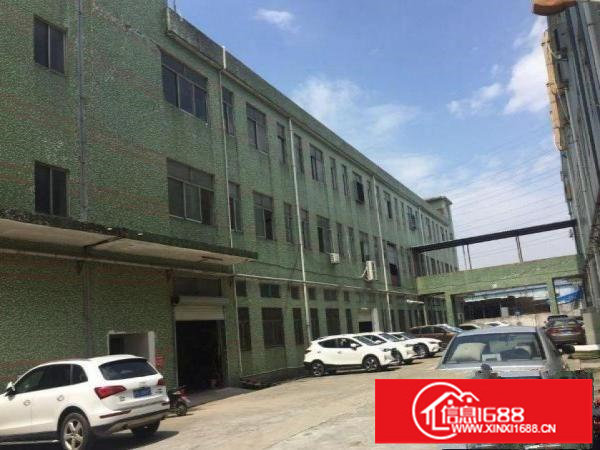 出租布吉万科红西区2楼原房东1000平光线好