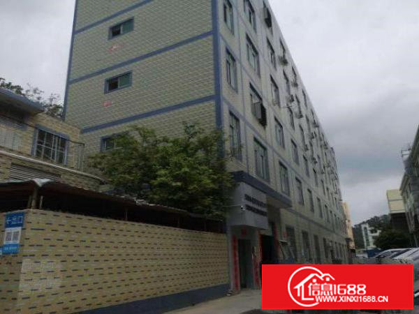 观澜大型工业园精装厂房价格实惠实用率高停车方便