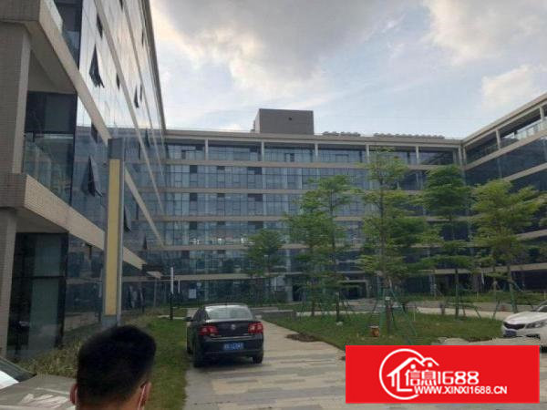 大岭山镇新出原房东花园式玻璃外墙厂房40万平方招租（可分租