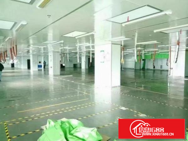 新出厦岗楼上，带装修厂房