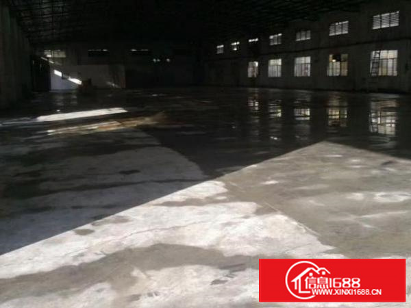 万江小亨独院全新钢构厂房1200平米低价招租水电齐全