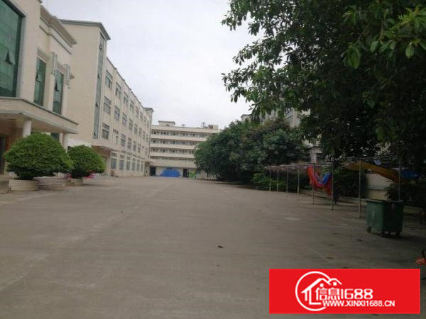 上市企业的标配，11000平出租