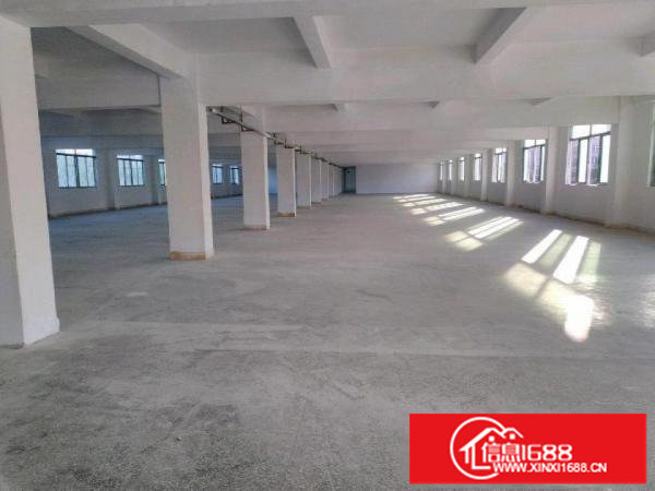 横岗六约深坑村工业厂房二楼300平米