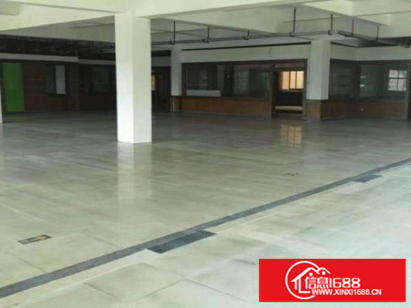 万江标准11500平方米;层高6米;水电线路齐全空地大